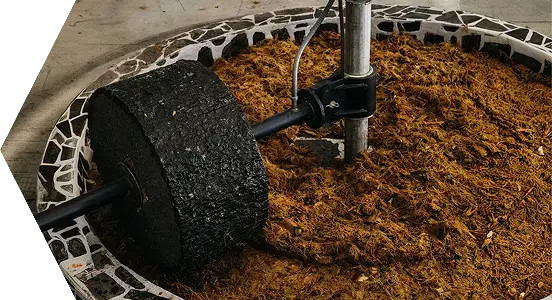 Stage3 - Extraction