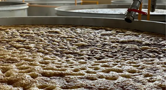 Stage4 - Fermentation